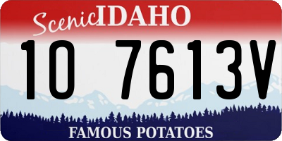 ID license plate 1O7613V