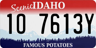 ID license plate 1O7613Y