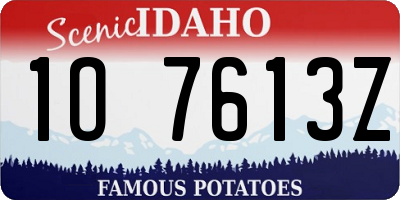 ID license plate 1O7613Z