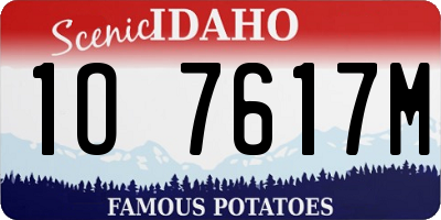 ID license plate 1O7617M
