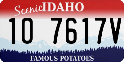ID license plate 1O7617V