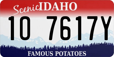 ID license plate 1O7617Y