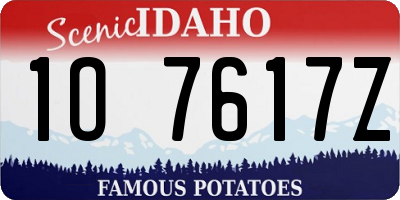 ID license plate 1O7617Z