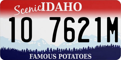 ID license plate 1O7621M