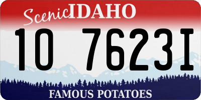 ID license plate 1O7623I
