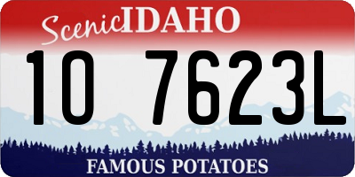ID license plate 1O7623L