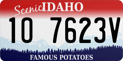 ID license plate 1O7623V