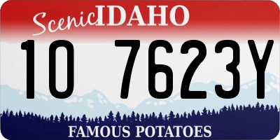 ID license plate 1O7623Y