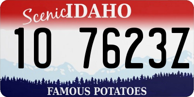 ID license plate 1O7623Z