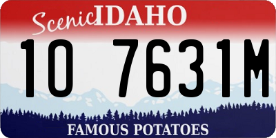 ID license plate 1O7631M