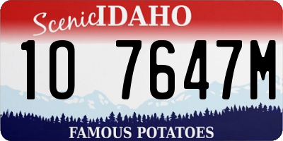 ID license plate 1O7647M