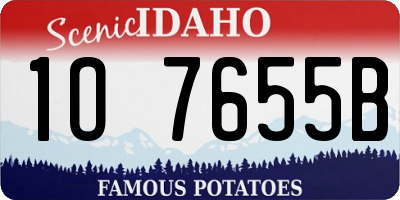 ID license plate 1O7655B