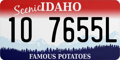 ID license plate 1O7655L