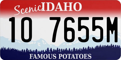 ID license plate 1O7655M