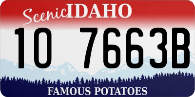 ID license plate 1O7663B