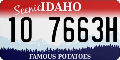ID license plate 1O7663H