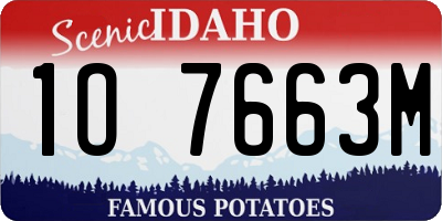 ID license plate 1O7663M