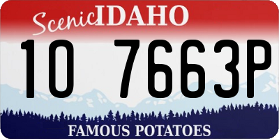 ID license plate 1O7663P