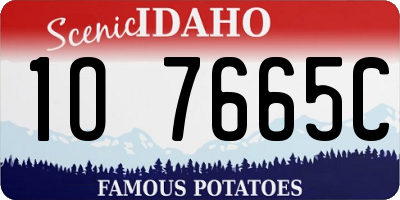 ID license plate 1O7665C