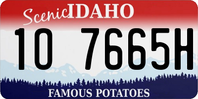 ID license plate 1O7665H