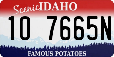 ID license plate 1O7665N