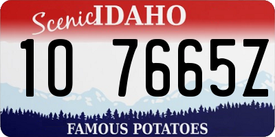 ID license plate 1O7665Z