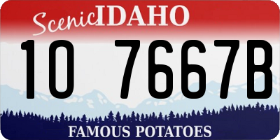 ID license plate 1O7667B