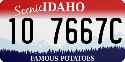 ID license plate 1O7667C