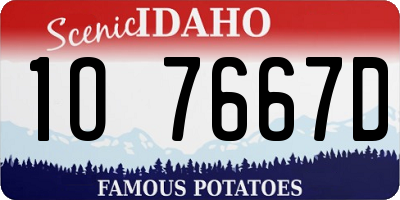 ID license plate 1O7667D
