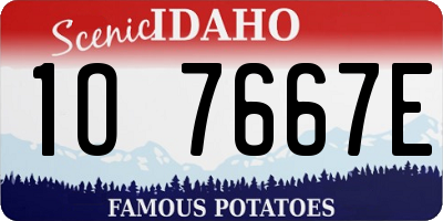 ID license plate 1O7667E