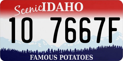ID license plate 1O7667F
