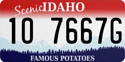 ID license plate 1O7667G