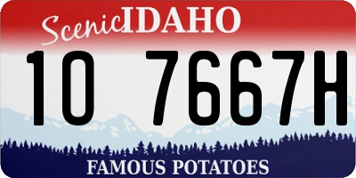ID license plate 1O7667H