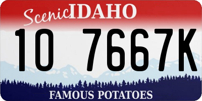 ID license plate 1O7667K