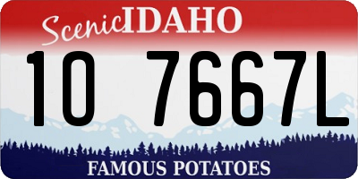 ID license plate 1O7667L