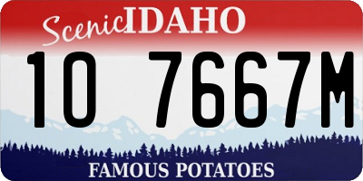 ID license plate 1O7667M