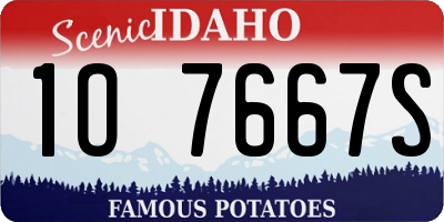 ID license plate 1O7667S