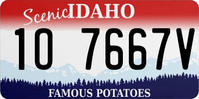 ID license plate 1O7667V
