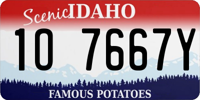 ID license plate 1O7667Y