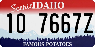 ID license plate 1O7667Z
