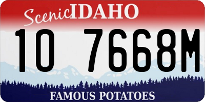 ID license plate 1O7668M
