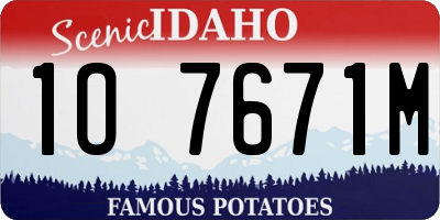 ID license plate 1O7671M
