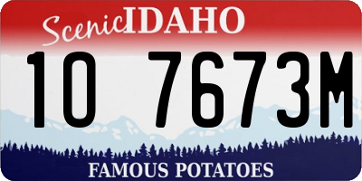ID license plate 1O7673M