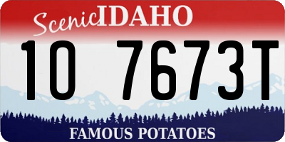 ID license plate 1O7673T