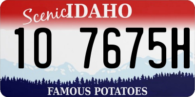 ID license plate 1O7675H