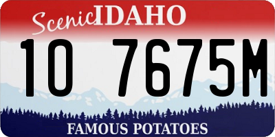 ID license plate 1O7675M