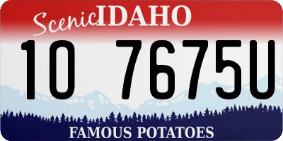 ID license plate 1O7675U