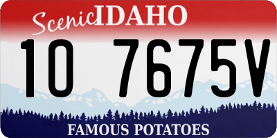 ID license plate 1O7675V