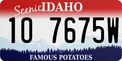 ID license plate 1O7675W