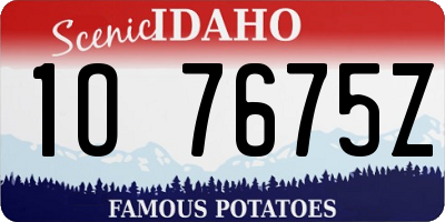 ID license plate 1O7675Z